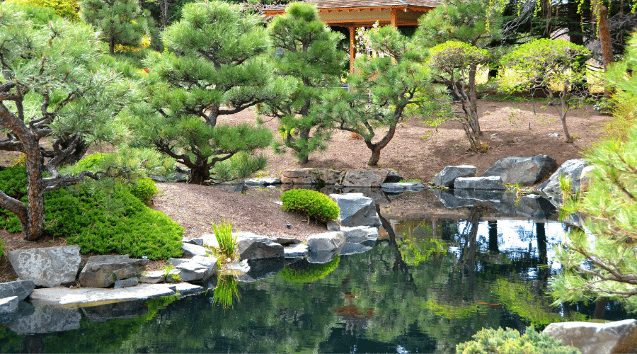 corso d'acqua di un giardino giapponese