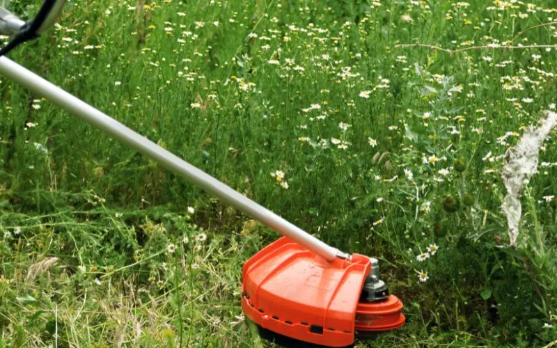 come tagliare l'erba alta 