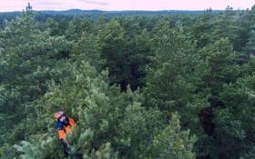 Valutazione di stabilità degli alberi