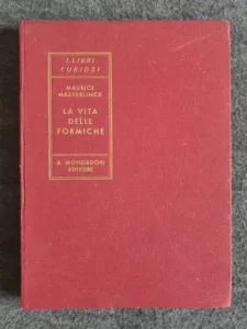 Formiche in fila mentre lavorano, raccogliendo cibo e costruendo la loro colonia, rappresentando la vita e lorganizzazione sociale delle formiche