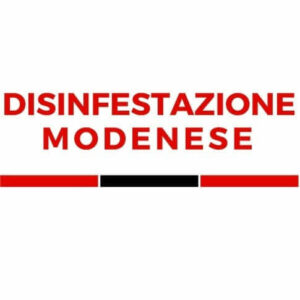 Esperto della Biblion Specializzati che esegue unintervento di disinfestazione delle formiche