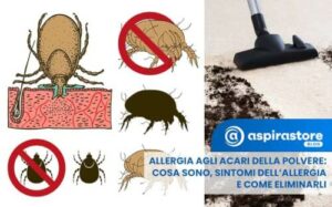 Immagine di un acaro ingrandito al microscopio, illustrazione delleffetto dellacqua sugli acari