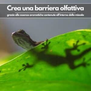 Una persona con una pinzetta in mano che acchiappa cimici su una foglia verde di un albero da giardino per proteggere il proprio giardino da infestanti come serpenti e lucertole