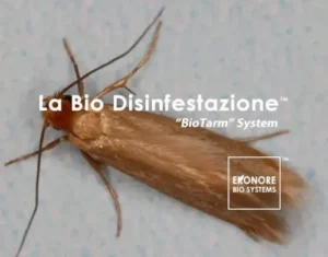 Immagine di una confezione di antitarme per abiti, utile per prevenire danni ai propri capi causati dalle tarme dei tessuti