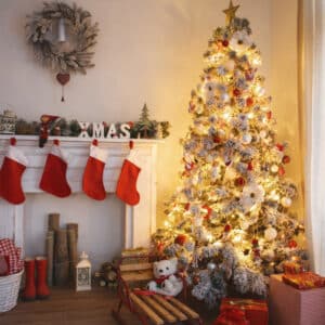 Auguri di un felice Natale! Goditi la magia e la gioia del festival, divertendoti con le decorazioni natalizie, riempiendo le calze e decorando lalbero di Natale Indossa le tue scarpe più belle e condividi questo momento con le persone a cui vuoi bene