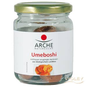 Una deliziosa prugna salata giapponese, pronta per essere servita in un barattolo di acetiera uno shaker pieno di prelibata salsa, per rendere ancora più gustoso il cibo