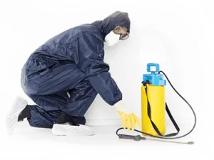 Bollicine causate da infestazione di acari illustrando limportanza della disinfestazione professionale