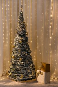 Vieni a festeggiare il Natale con le luci scintillanti che decorano le nostre case! Dai un tocco di magia al tuo albero di Natale con le nostre decorazioni e scatole natalizie! Rendi il tuo festival di Natale ancora più speciale con le nostre piante e decorazioni per lalbero di Natale! Lasciati incantare dalle luci di Natale!