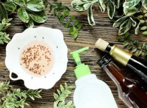 Donna che utilizza prodotti naturali per eliminare i moscerini nel terreno delle piante