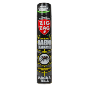 Persona che utilizza uno spray anti ragni per eliminare i ragni in casa