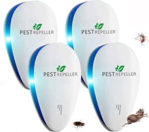 Persona che utilizza un repellente naturale per eliminare le mosche allinterno di una casa con animali domestici