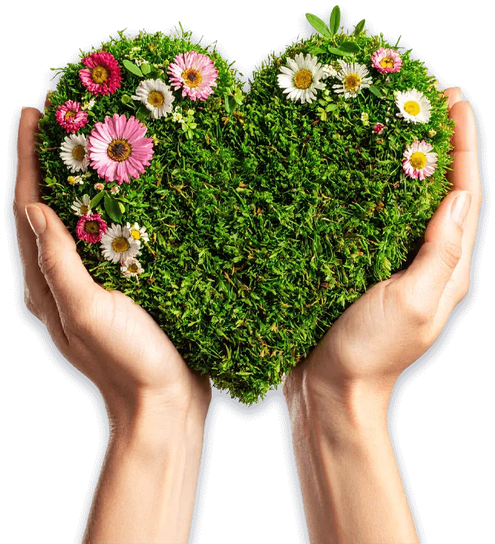 mani che tengono un cuore creato con fiori ed erba