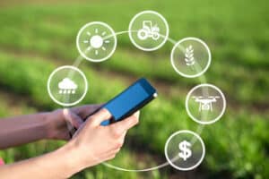 consulenza con un professionista in agronomia