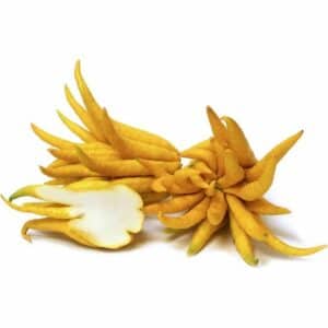 il giallo cedro per preparare una ricetta deliziosaPrepara una ricetta deliziosa mescolando il giallo cedro sbucciato, tagliato a dadini e grattugiato! Un mix di sapori che non potrai più rinunciare