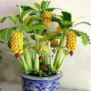 Un bouquet di fiori e piante gialle, con una composizione di frutta e fiori dai colori brillanti, è un tocco di freschezza e vitalità per la tua casa Una pianta in vaso e un bouquet di fiori gialli, la perfetta combinazione per un ambiente luminoso e allegro