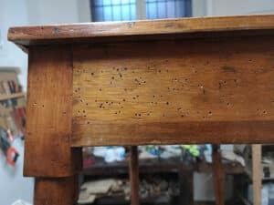 Immagine di un tecnico esperto nella disinfestazione di acari del legno che esegue unispezione per riconoscere un tarlo del legno