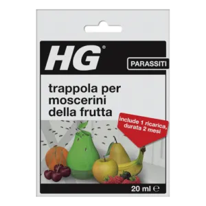 Esperto di disinfestazione che eradica i moscerini del giardino, riferimento a moscerini della frutta