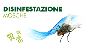 Operatore professionale in tuta protettiva che effettua disinfestazione contro le mosche per salvaguardare la salute dellambiente
