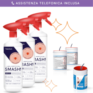 Professionista impegnato nella disinfestazione di pulci in una casa, illustrazione dei costi del servizio di disinfestazione