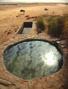Immagine di un esperto di disinfestazione che lavora su una proprietà rurale o costiera in Sardegna per risolvere il problema delle termiti