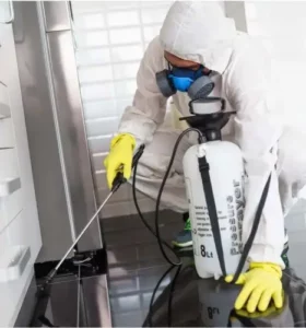 Esperto in disinfestazione mentre rimuove scorpioni dalla casa per mantenere labitazione sicura
