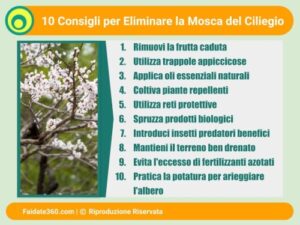 Tecnico professionista che effettua disinfestazioni insetti utilizzando prodotti chimici e naturali per il controllo delle mosche