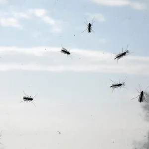 Donna che utilizza uno spray per eliminare moscerini in casa