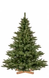 Questa splendida immagine ritrae un abete nordmann, una pianta conifere tipica del periodo natalizio e delle sue decorazioni, che rendono questo festival ancora più magico Lalbero di Natale ha un aspetto sempreverde che regala una sensazione di pace e armonia