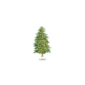 Questa immagine ritrae un magnifico albero di Natale siberiano, un abete conifera impreziosito da splendide decorazioni natalizie Per celebrare il festival natalizio, questo albero di pino conferisce gioia e magia a chiunque lo ammiri