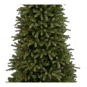 L'albero di Natale è un simbolo di festa e tradizione Con la sua silhouette di conifere come l'abete rosso e il pino, decorata da agrifoglio e altre decorazioni natalizie, l'albero di Natale è una parte importante del festival annuale