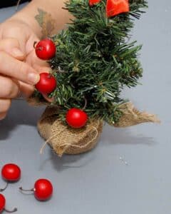 Questa è la tua immagine di Natale perfetta una luce della pianta di ciliegie, decorazioni natalizie, un albero di Natale conifero, un uccello e le luci che brillano È il momento perfetto per celebrare questo festival di Natale!