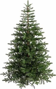 Questa foto ritrae un albero di Natale magico, un abete Nordmann con una stella sulla sommità, decorato con festose decorazioni natalizie La StarPianta è una conifera di tipo pino, che è diventata una tradizione per celebrare il Festival di Natale