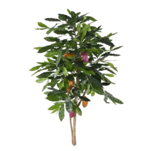 Questa immagine mostra una splendida pianta in vaso con foglie di colore verde brillante, un albero con fiori vivaci e frutta matura, e una ricca varietà di prodotti erbacei