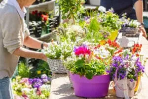 fioriere per giardino