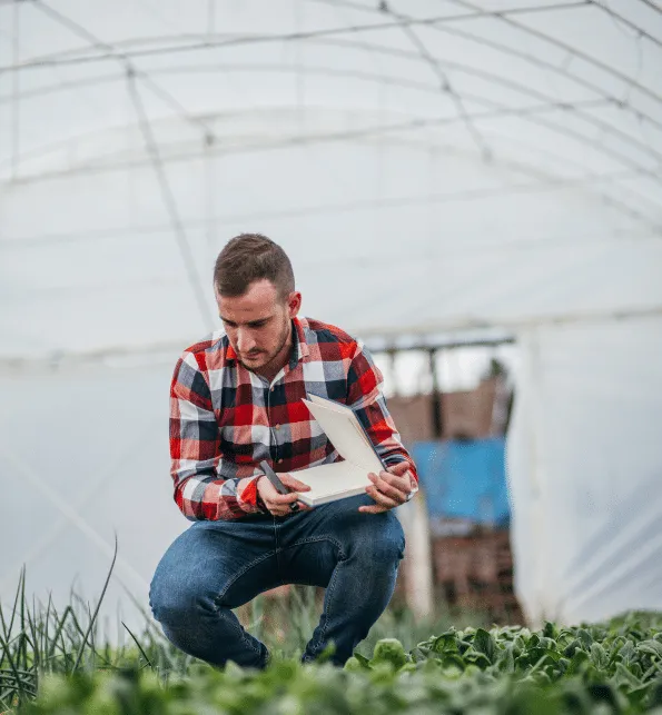 consulenza agronomica
