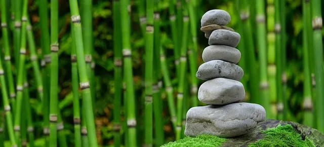 foto giardino moderno con sassi