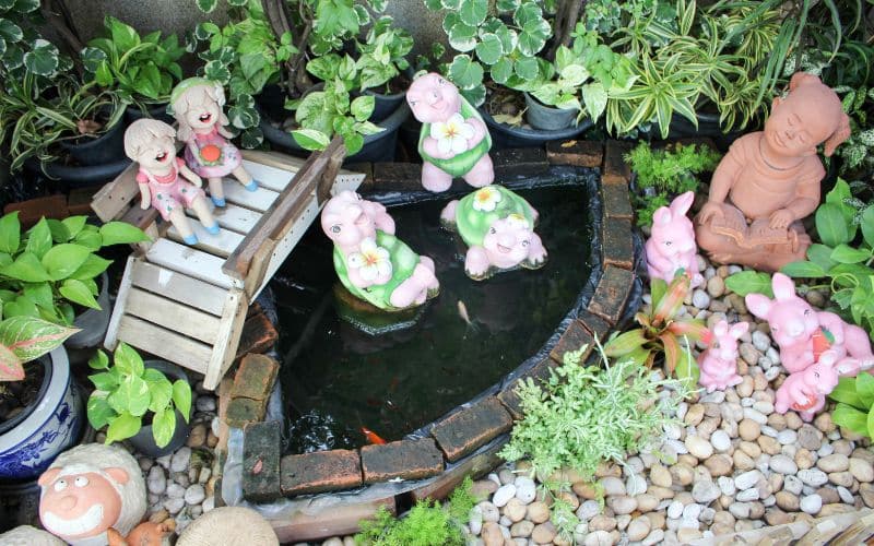 foto rappresentativa di un mini giardino
