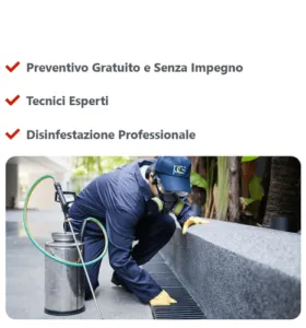 Gruppo numeroso di mosche che rappresenta un problema di infestazione, che necessita di metodi professionali di disinfestazione