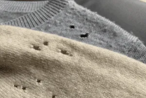 Una fotografia di due insetti vestiti che rappresentano una disinfestazione tarme dei tessuti