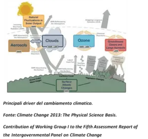 Bottiglia di insetticida specifico per processionarie utilizzato come soluzione alla crescente infestazione dovuta ai cambiamenti climatici