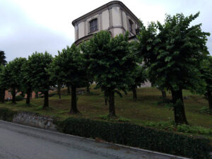Scopri il magico mondo di un monastero situato in città, circondato da unabbondante vegetazione e con un grande albero al centro, come un rifugio che offre ombra e riparo Una villa dallaspetto antico, con un tronco di albero che si erge dallerba alta Un luogo incantato, per ritemprare spirito e corpo
