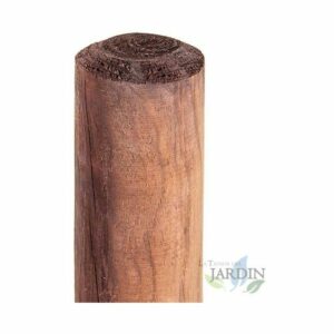 Questa foto ritrae unimmagine eco amichevole un albero con un tronco che rappresenta la forza della natura Il tronco è decorato con una pipa da fumo, un ceppo dalbero e un fiore LogPianta, tutti realizzati in legno Una panoramica incredibilmente suggestiva che rappresenta la bellezza della natura