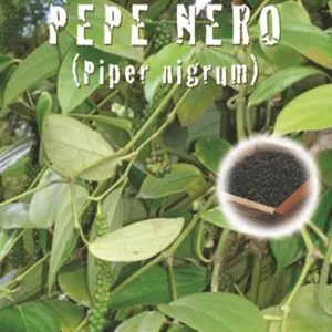Una foto che mostra un albero di pepe nero con frutti maturi e foglie di frutta, una vite piena di grappoli, un fiore bianco, erba lussureggiante e una grande varietà di vegetazione intorno Unimmagine che riunisce alberi, fiori, erba, viti e frutti in una scena di cibo e natura