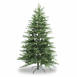 Labete Henderson è una pianta conifera, un tipo di albero di pino, che è diventato un simbolo di Natale Le decorazioni natalizie che si trovano sullabete Henderson, rendono il festival di Natale più magico