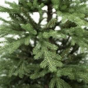 Questa fotografia ritrae un magnifico esemplare di abete henderson, una pianta appartenente alla famiglia delle conifere Lalbero di pino in primo piano è una vera e propria meraviglia della natura, una presenza iconica capace di sprigionare grande bellezza