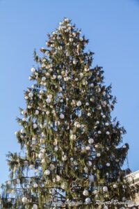 Un albero mitico e maestoso, un pino con un candelabro e abete incastonato tra le fronde, decorato con festose decorazioni natalizie Una scena da cartolina in cui lalbero di Natale è protagonista di un magico festival di luce, colore e gioia