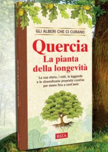 Un albero maestoso con una pianta in vaso sotto di esso e vari tipi di erbacee e erbe che crescono ai suoi piedi Un libro e una pubblicazione sono appoggiati accanto ad una cassetta della posta A lato è posizionato un vassoio con del cibo Uno spettacolo di bellezza e una rappresentazione di vita