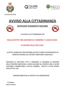 Immagine di larve di mosca in casa, indicazione del bisogno di disinfestazione