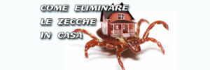 Macro dettagliata di larve di zecche in un ambiente naturale, utilizzate per illustrare un articolo sulla disinfestazione di zecche nel giardino con prodotti naturali