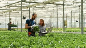 lavorare come agronomo